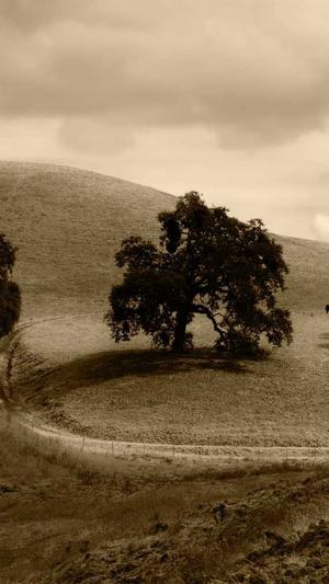 18MIC禁漫天堂入口截图4